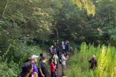 IMG-20240728-WA0039