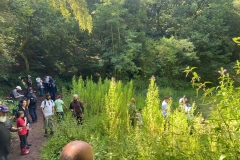 IMG-20240728-WA0040