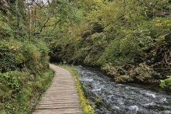 IMG-20240930-WA0005