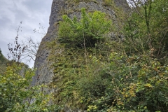 IMG-20240930-WA0006