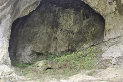 IMG-20240930-WA0008