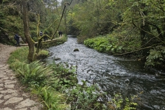 IMG-20240930-WA0012