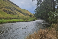 IMG-20240930-WA0017