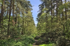 IMG-20250427-WA0011