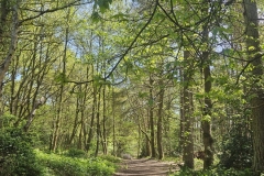 IMG-20250427-WA0013