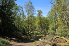 IMG-20250427-WA0016