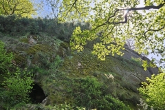 IMG-20250427-WA0024