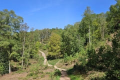 IMG-20250427-WA0025