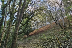 IMG-20241027-WA0025