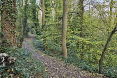 IMG-20241027-WA0027