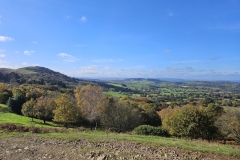 IMG-20241027-WA00321