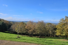 IMG-20241027-WA0033