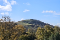 IMG-20241027-WA0034
