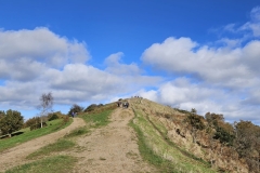 IMG-20241027-WA0035